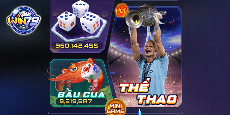 Quy định về tài khoản Win79
